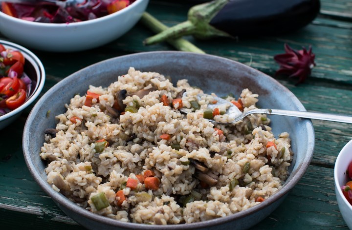 florida-family-farm-thanksgiving-1252