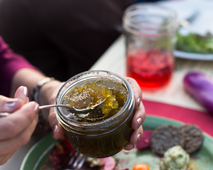 florida-family-farm-thanksgiving-1413