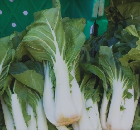 bok-choy-2575b