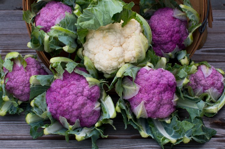 worden-farm-csa-crops-3895