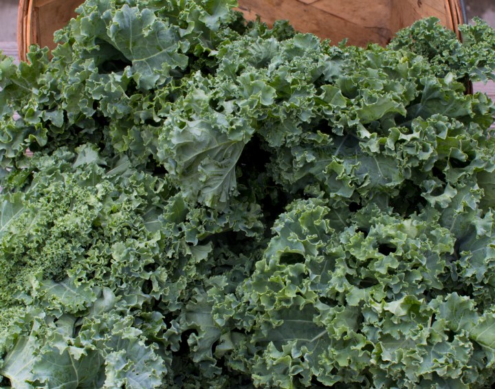 worden-farm-csa-crops-3901