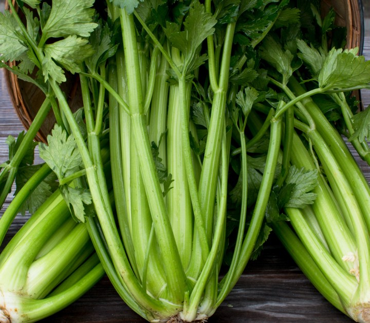 worden-farm-csa-crops-3919-2