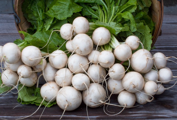 worden-farm-csa-crops-3946