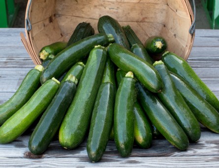 worden-farm-csa-crops-4223